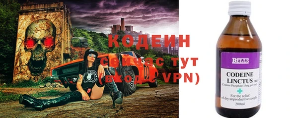 apvp Вяземский