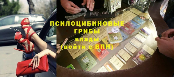 apvp Вяземский