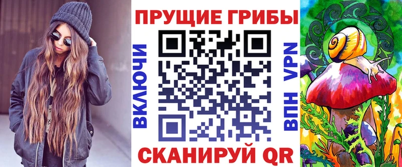купить закладку  Зубцов  Псилоцибиновые грибы Cubensis 